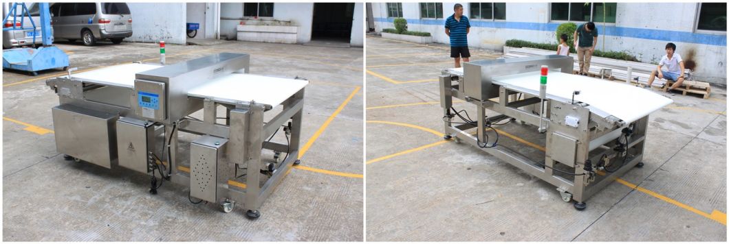 Customized Food Metal Detector Machine with Rejection System