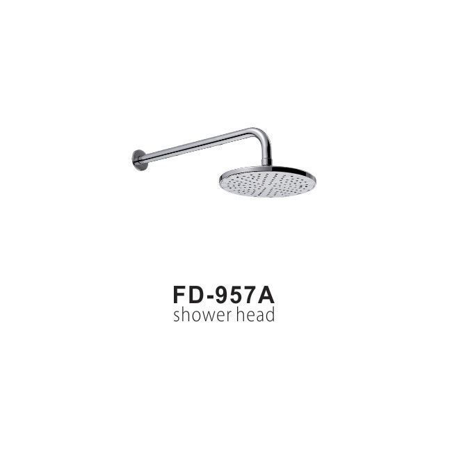 Wall Mounted Bathroom Shower Head