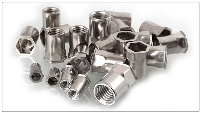 Stainless Steel Flat Head Hex Rivet Nut