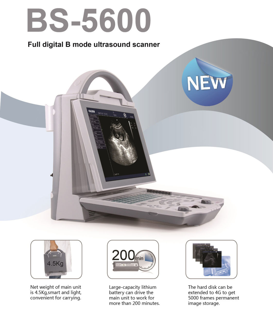 BS-5600 Portable 3D Black White Ultrasound Scanner Machine with Great Price