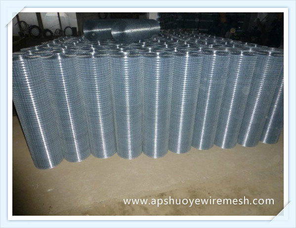 Hot Dipped Galvanized Steel Welded Wire Mesh