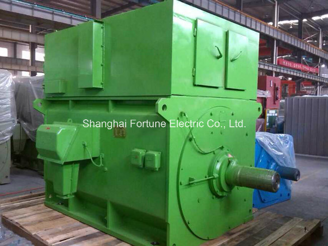 Big Size Three Phase Squirrel Cage Asynchronous Induction AC Motor
