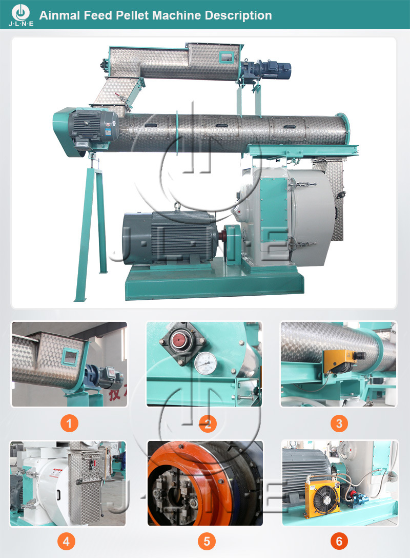 Top Manufactures Granulator Poultry Chicken Feed Pellet Mill Machine