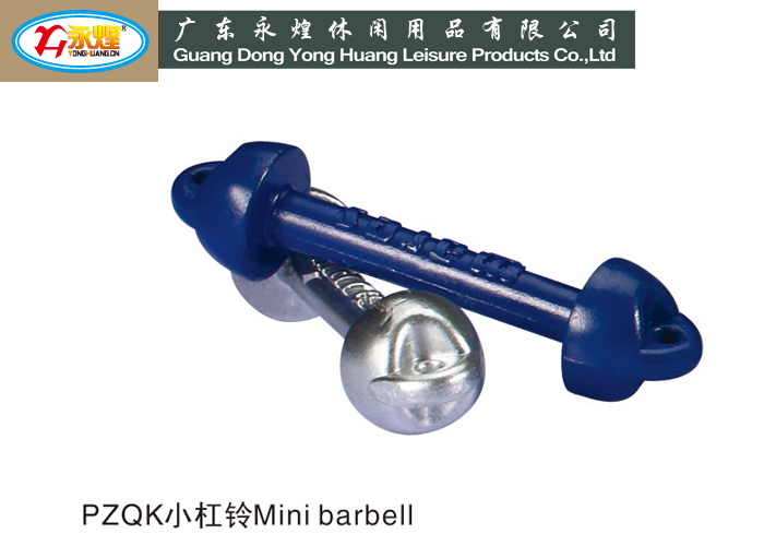 300g Mini Barbell Lead Weight on The Bag Luggage