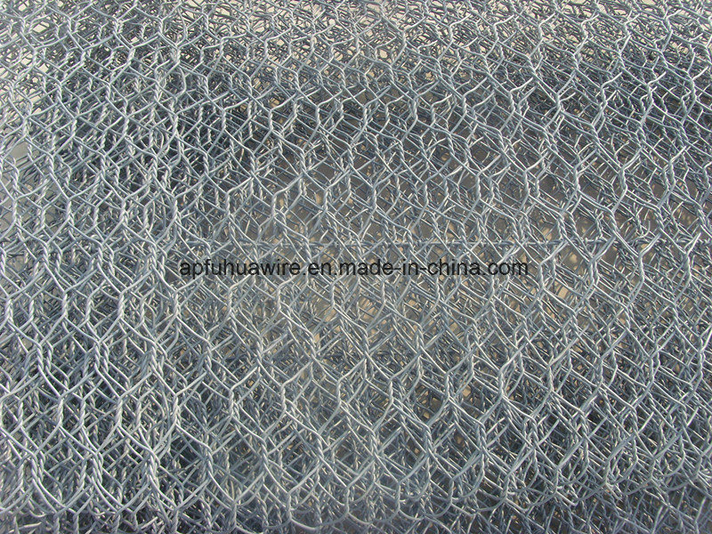 Gabion Wire Mesh/Hot Dipped Galvanized Hexagonal Wire Mesh