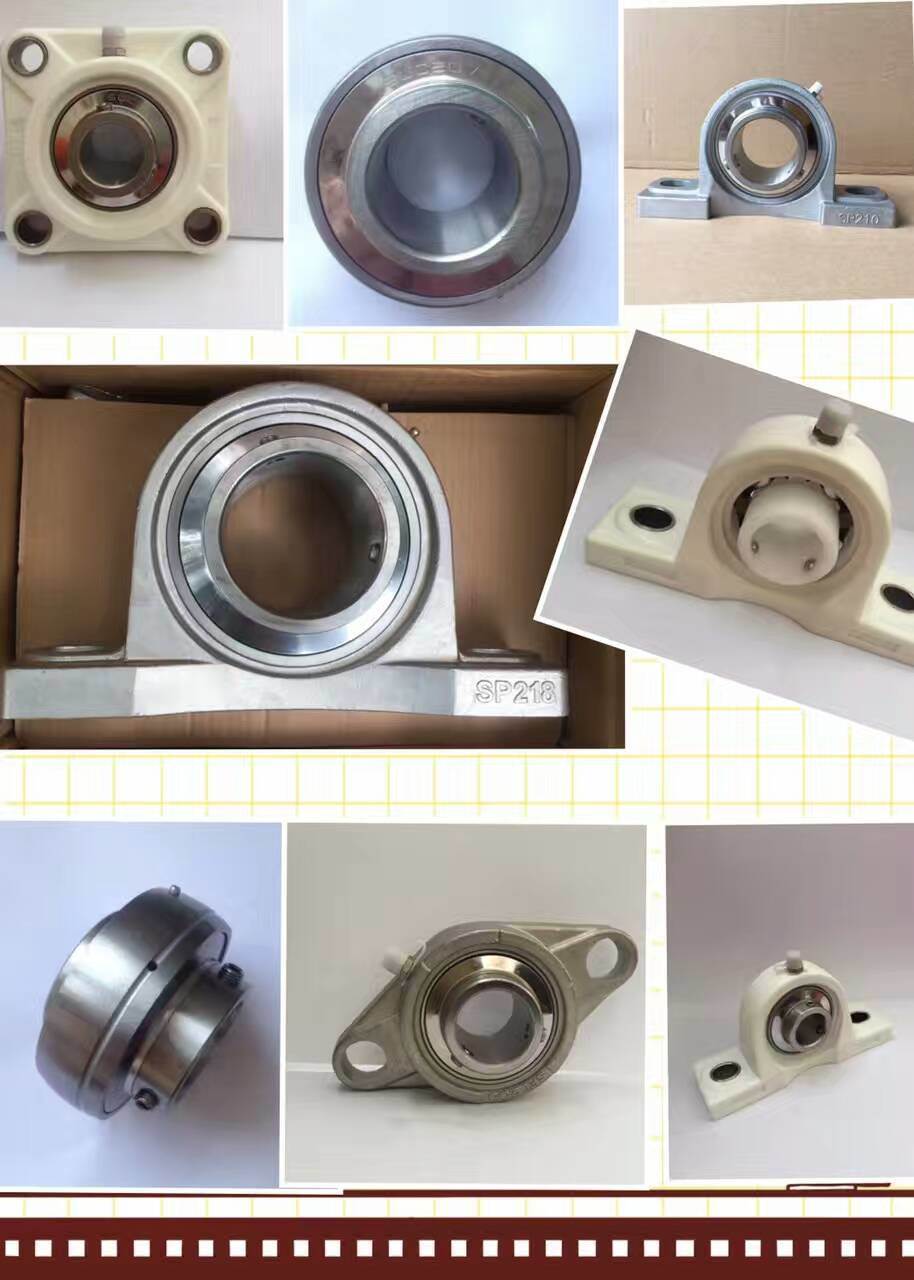 Stainless Steel Pillow Block Bearing with Plastic Housing