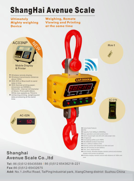 Digital Crane Scale Hanging Scale with Remote Display (GS-C-5Ton)