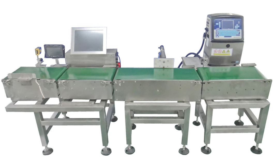 Barcode Weighing Machine/ Automatic Check Weigher (DCC-P3700)
