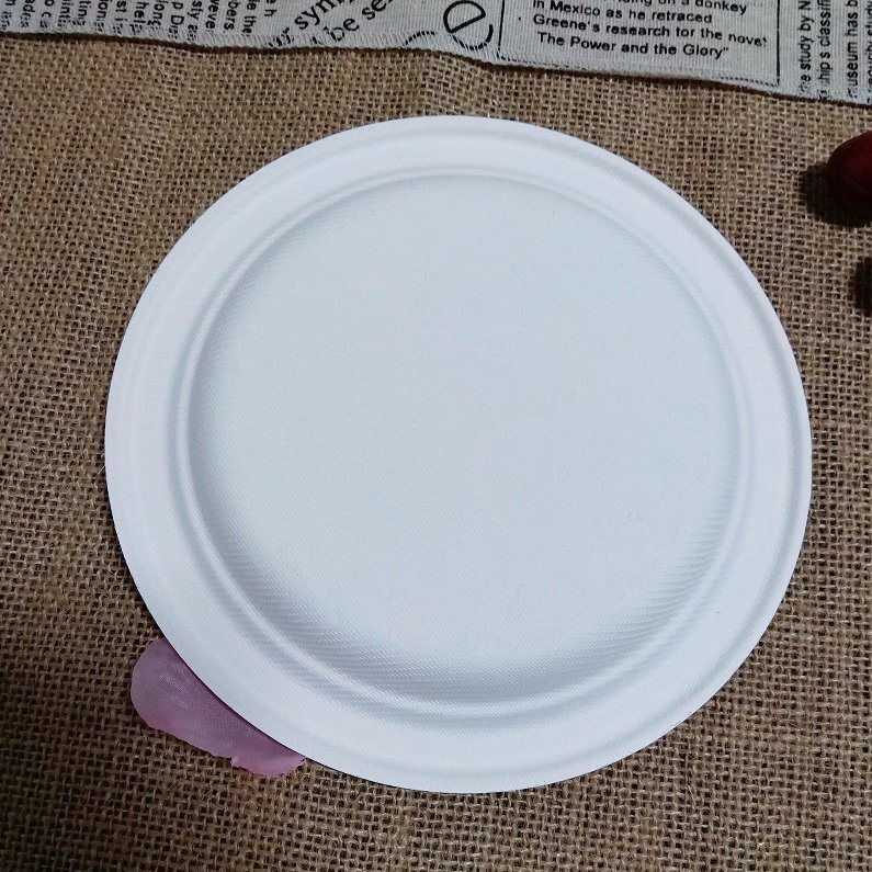 Eco-Friendly Camping Biodegradable Dinnerware Bagasse Plate