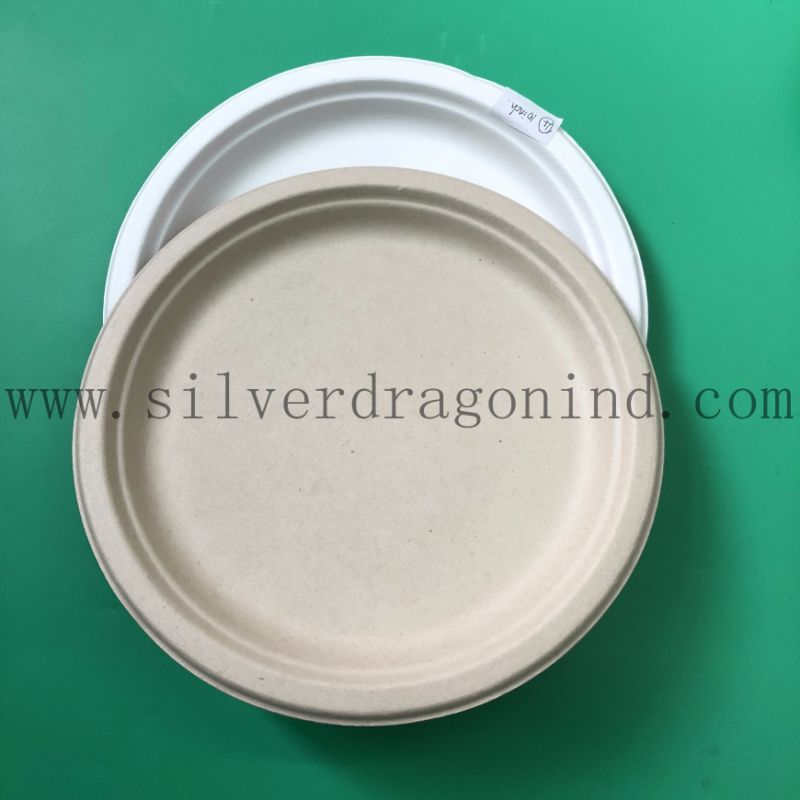 Biodegradable Compostable Sugarcane Pulp Paper Bowl 460ml