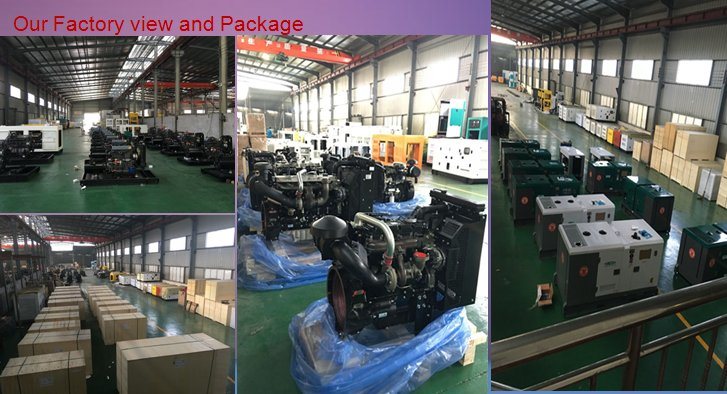 440V 60Hz 50kVA 40kw Yanmar 4tnv98t-Gge Electric Diesel Generator