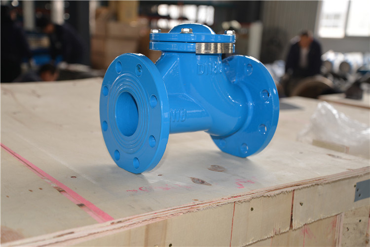 Rolling Flanged Ball Check Valve