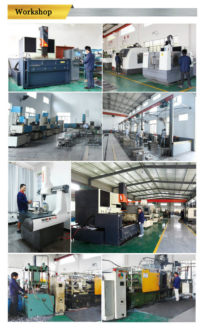 Customized OEM Professional Manufacturer Zinc/Magnesium Die Casting/Custom Metal Die Casting