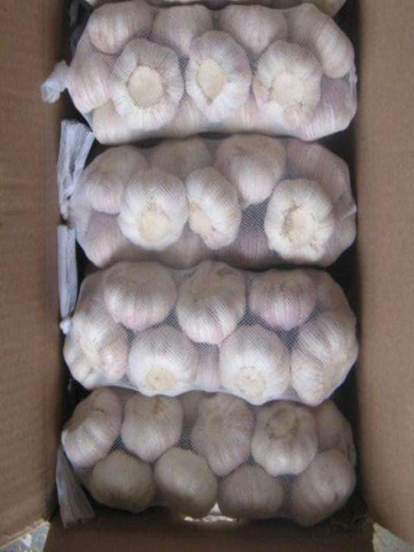 2018 New Crop Fresh Pure White Garlic