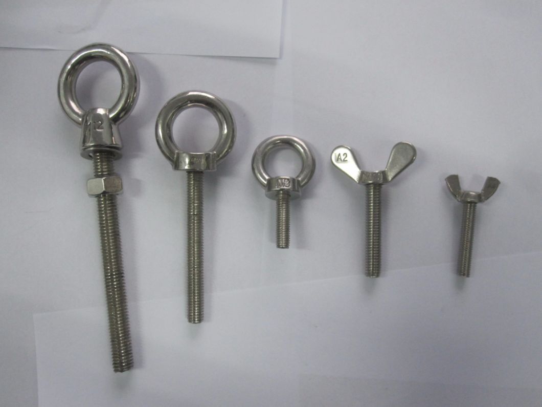 Stainless Steel Long Thread Eye Bolt