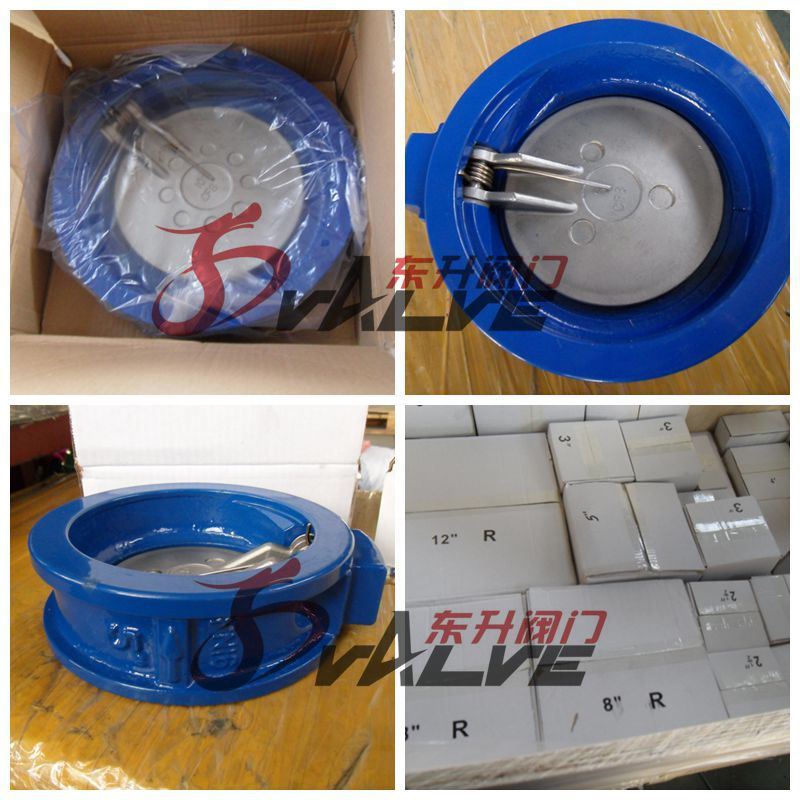 Cast Iron Wafer Single Disc Swing Check Valve Pn10/16