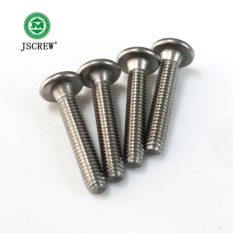 Stainless Steel Big Head Allen Screw for Automobile