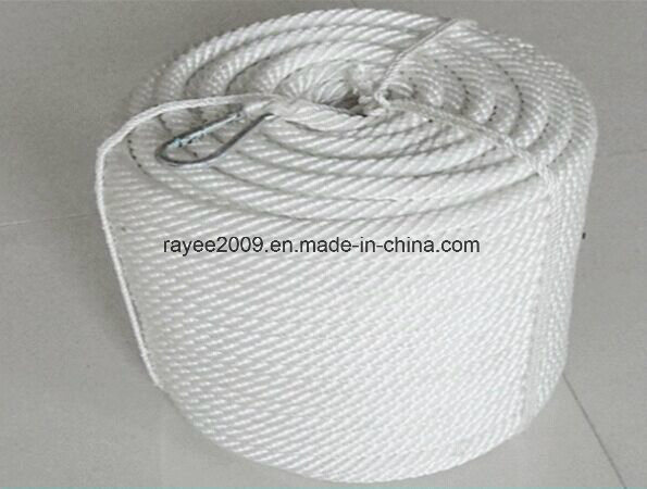 High Tenacity Zero Pollution Webbing Rope Polyester Rope