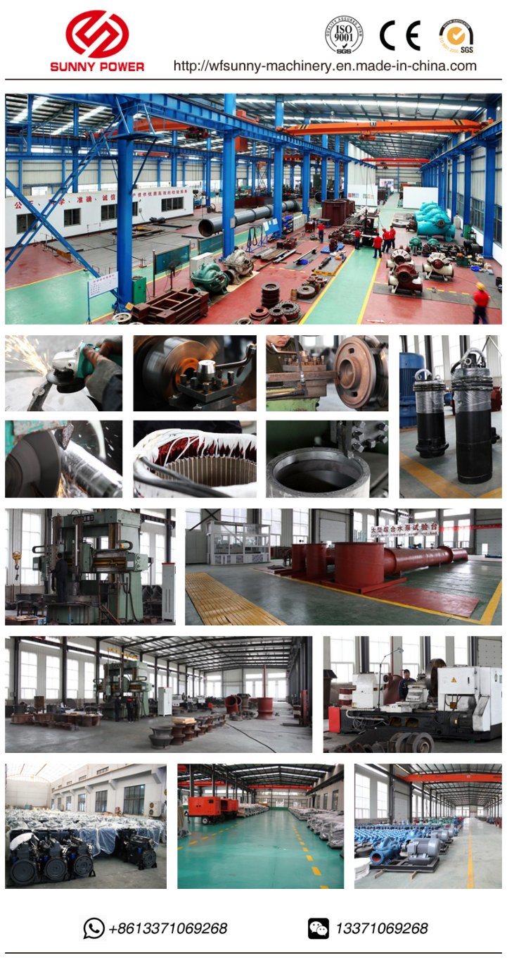 Hot Sale Diesel Water Pump for Agricultural Irrigation Outflow 50-5200m3/H