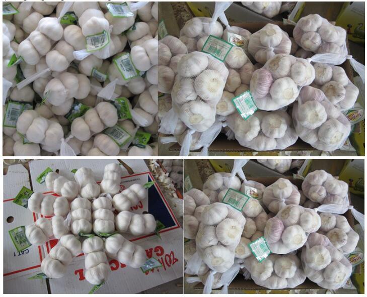 New Crop Fresh Natural Pure White Garlic