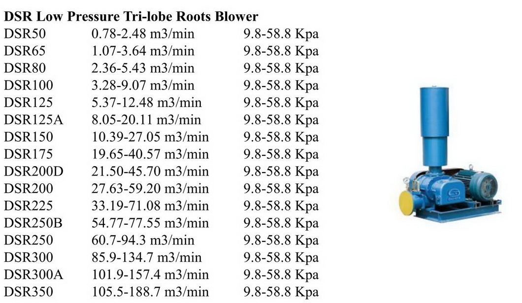 Dsr Shandong Manufacturer Roots Blower for Water Treatment