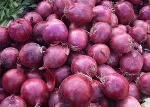 Chinese Fresh Red Onion