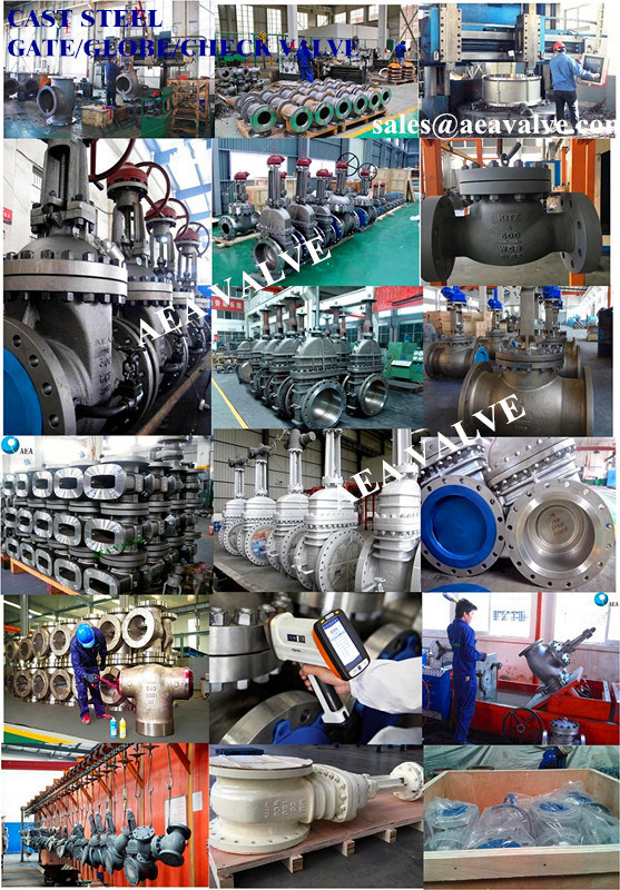 API 6D Carbon Steel High Pressure Counterweight Swing Check Valve