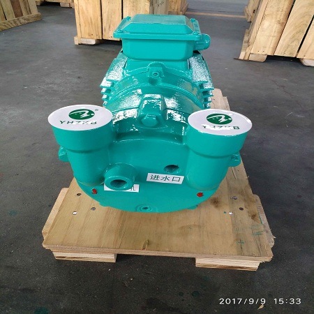 2BV2 061 Liquid Ring Vacuum Pump for Medical and Pharmaceutical Industry