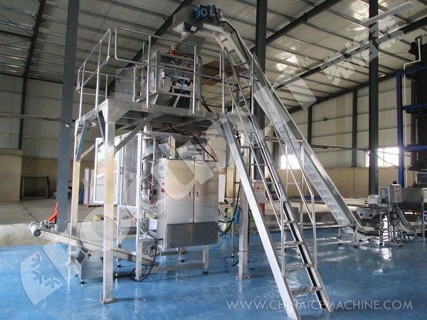 20 Tons/Day Tube Ice Machine with Ice Packer