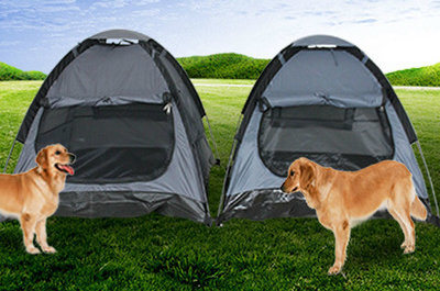 a Roof Tent Can Wash a Dog's Nest