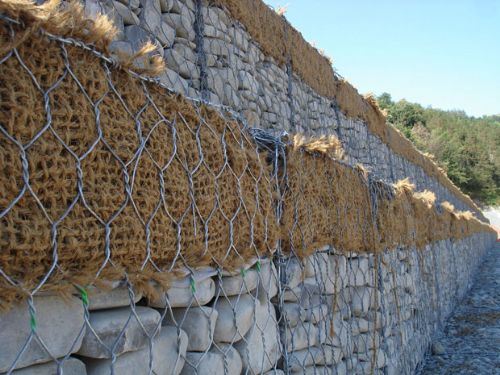 Stainless Steel Gabion Box Mesh with Free Sample