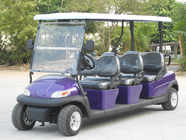Best Quality 6 Seater Electric Vehicle for Sale