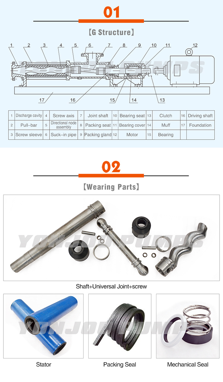 Cast Iron/Stainless Steel Mono/ Single Screw Pump (G)