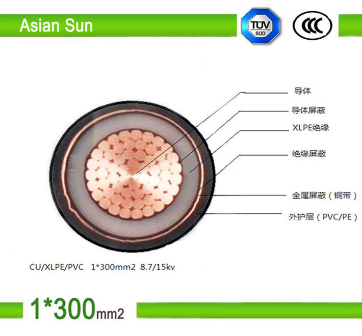 LV/Flame Redartant/Steel Tape Armored/XLPE Insulated Electric Power Cable Manufacturer