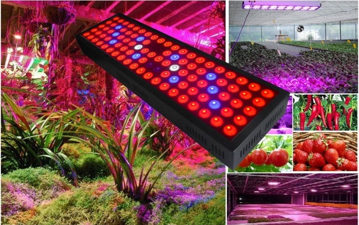 High Quality Low Prices 300W Full Spectrum LED Grow Light