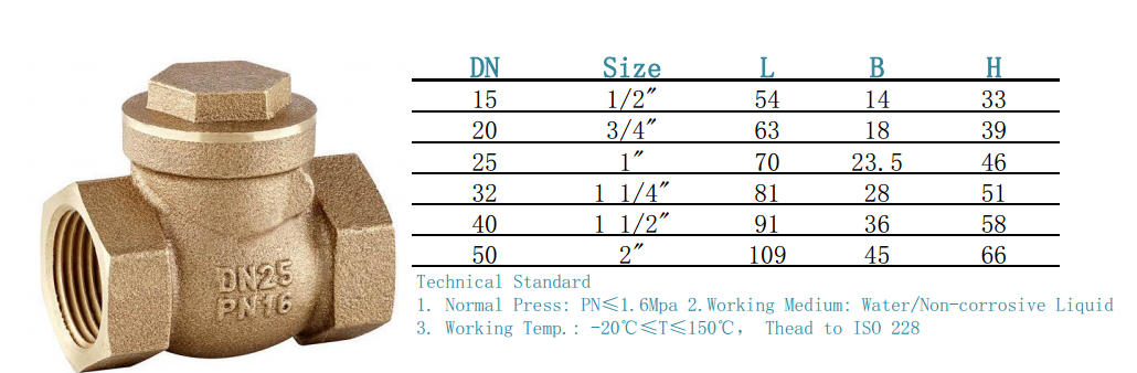 Brass Swing Check Valve