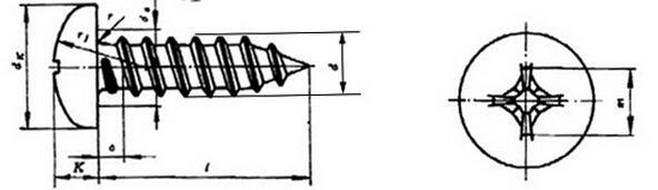 Phillips Pan Head Self-Tapping Screw in Stainless Steel 304