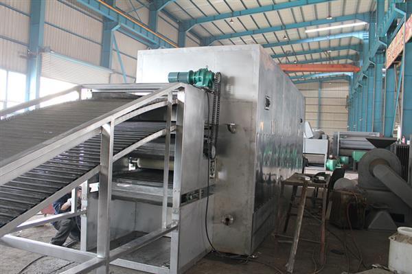 Complete Dehydrated Carrot Processing Machines