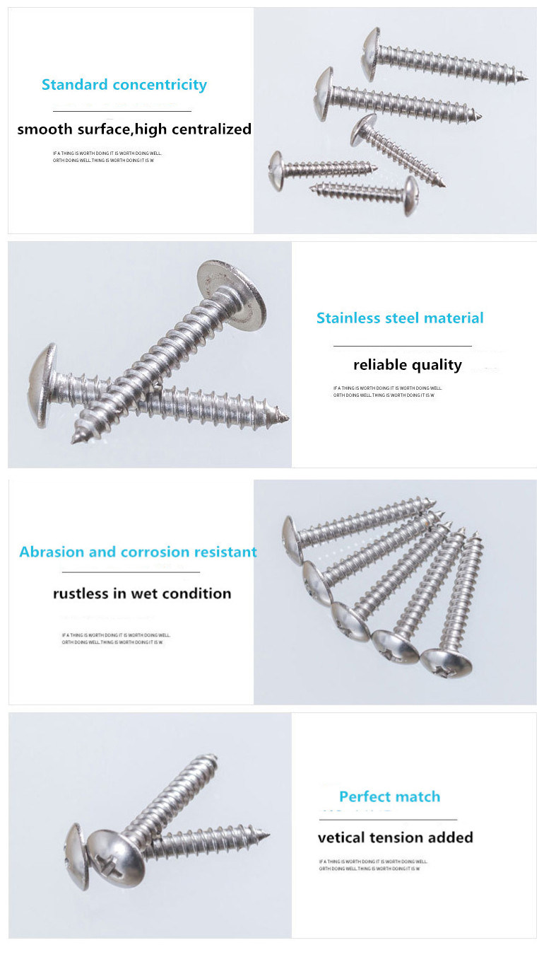 Stainless Steel Cross Drive Truss Head Self-Tapping Screw