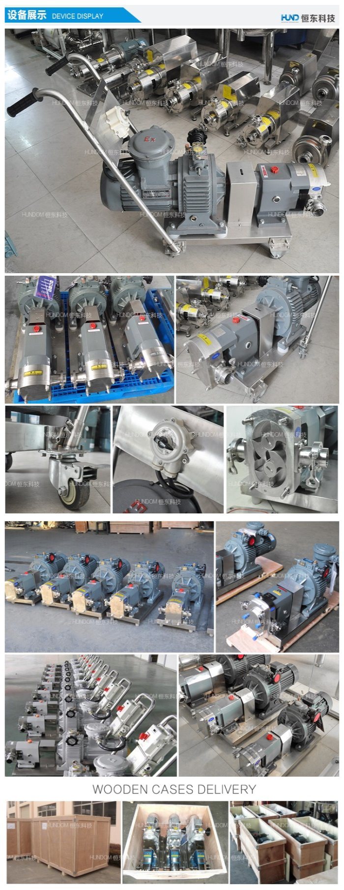 Stainless Steel Sanitary Gear Rotor Pump Oil Transfer Pump