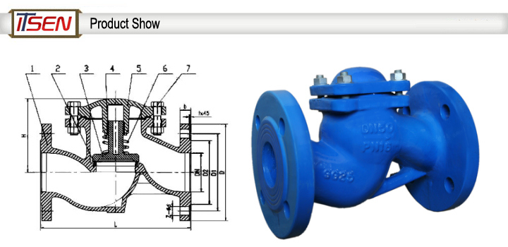 DIN Cast/Ductile Iron Pn16 Lift Flange Type Check Valve