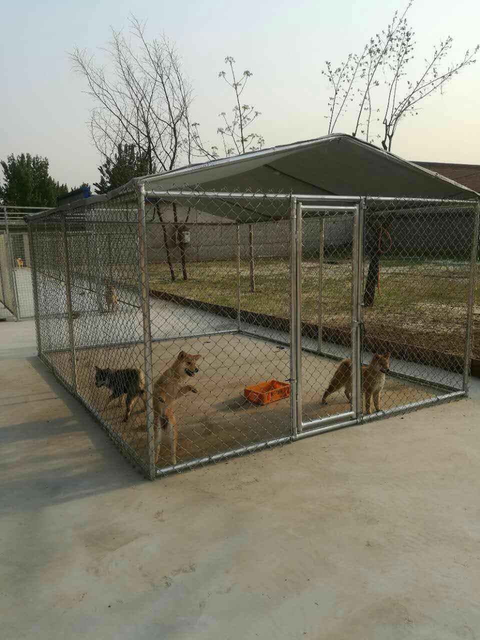 Heavy-Duty Chainlink Dog Kennel 6ftx8ftx4FT