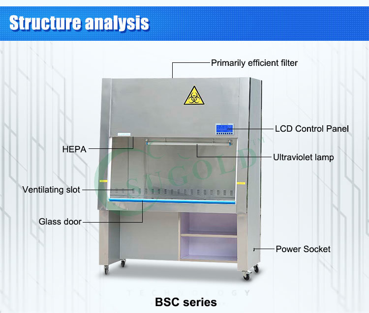 Clean Biological Safety Cabinet with Medical Production