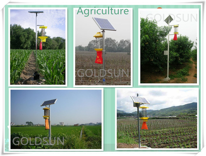 Solar Insect Killer Lamp Made in China