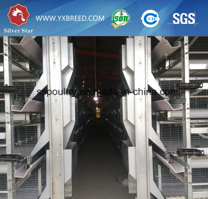 Hot Galvanized Wire Mesh Bird Container in Poultry Farms