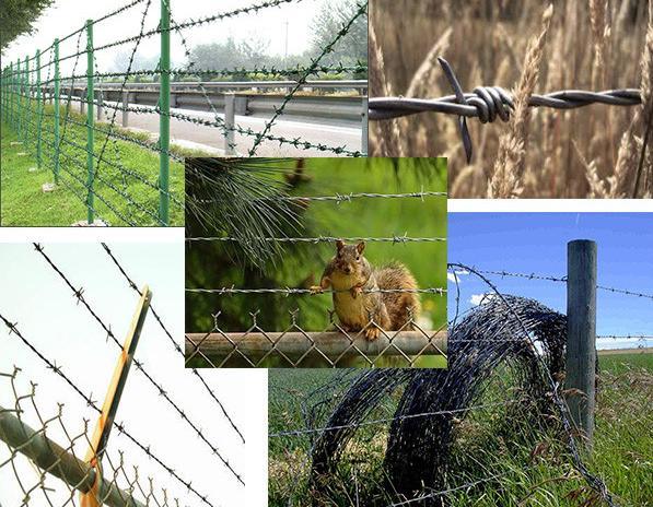 High Security Barbed Wire Fencing