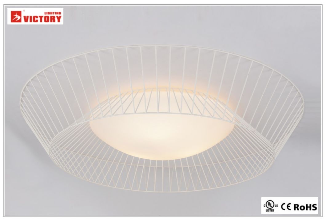 Surface Mount LED Modern Energy Saving Ceiling Light