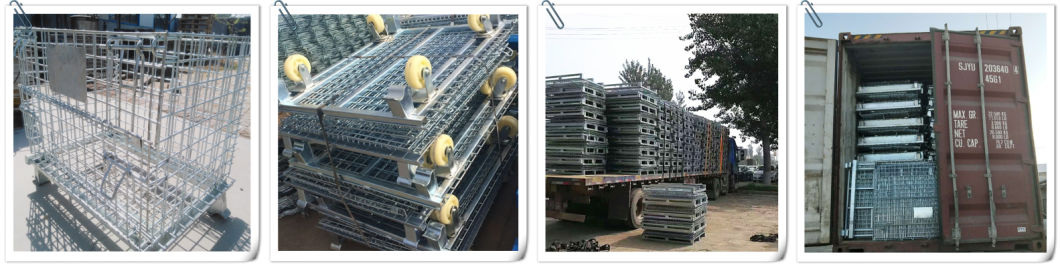 Welded Wire Mesh Storage Cage