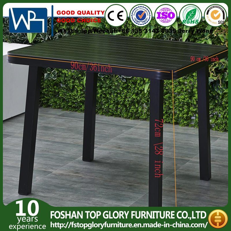 Dining Sets Aluminum Furniture Dining Sets (TG-HL808)