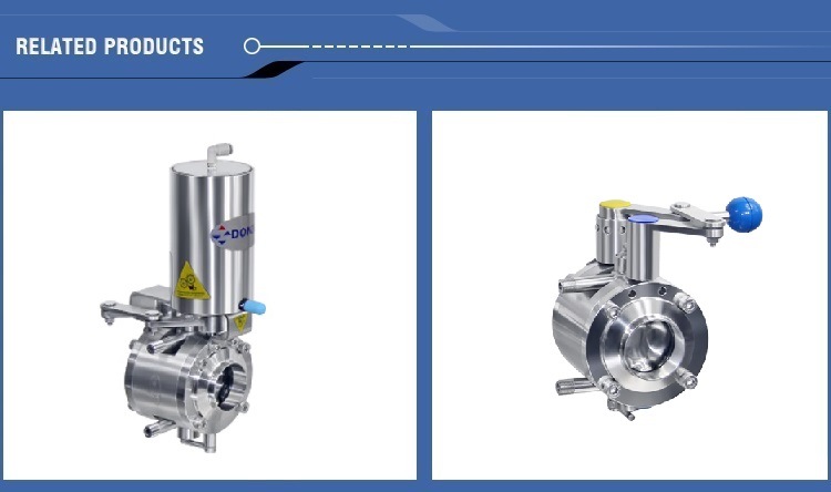 Pneumatic Double Butterfly Valve with Ss Actuator (B)